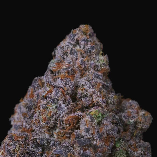 Lemonatti by Connected Co | Biscotti Cannabis Strains