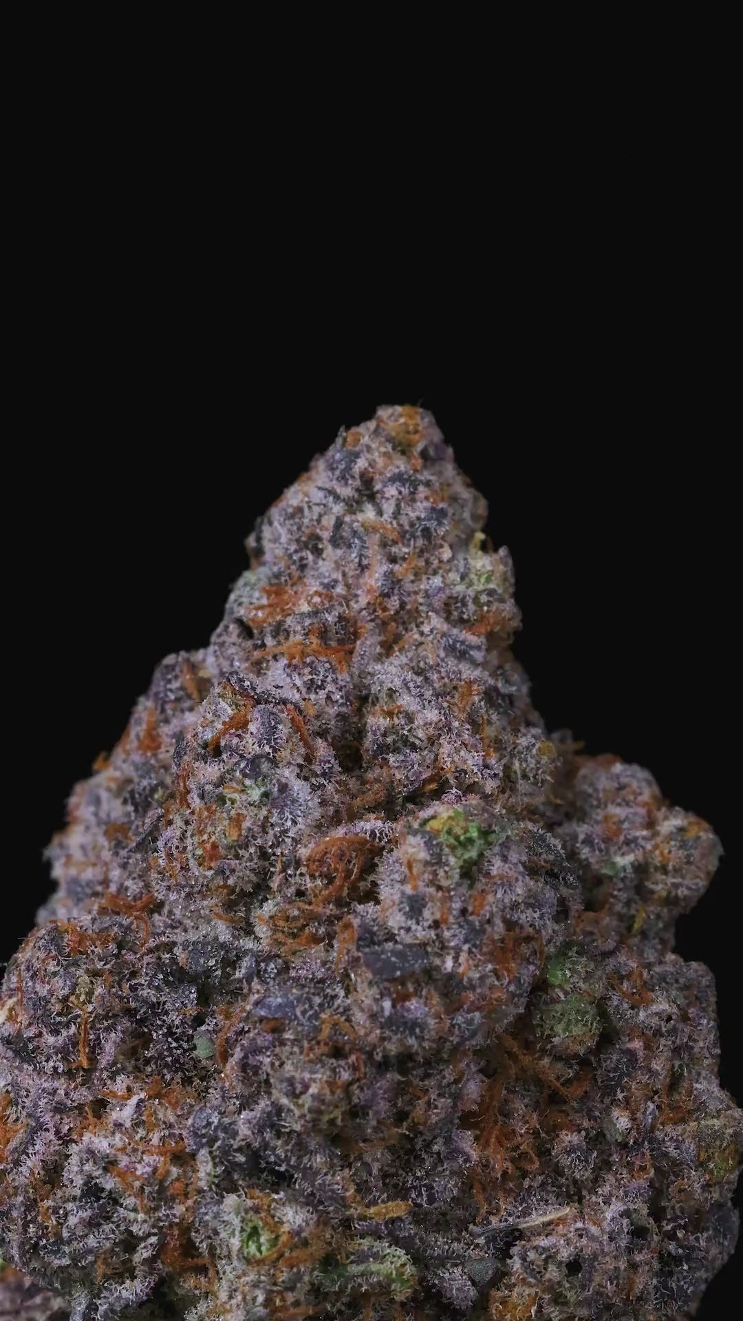 Lemonatti by Connected Co | Biscotti Cannabis Strains